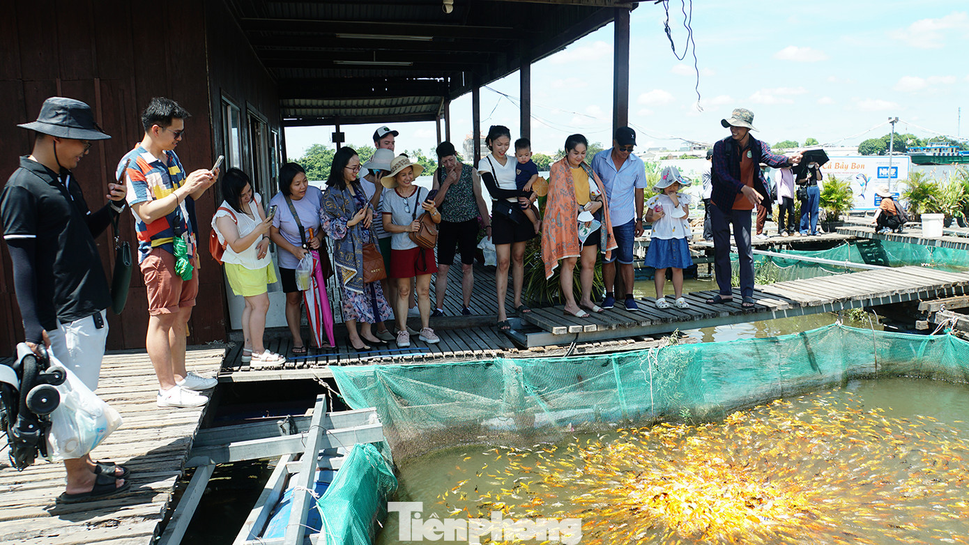 Khách tham quan bè cá trên sông Hậu, thuộc HTX du lịch cộng đồng cồn Sơn của hộ ông Lý Văn Bon (Bảy Bon). Ảnh: Hòa Hội