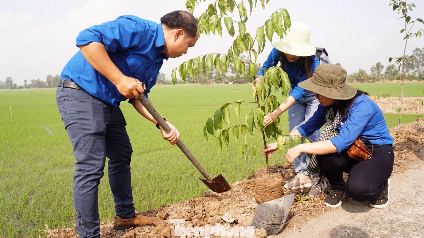 Đoàn viên thanh niên TP Cần Thơ trồng cây xanh. Ảnh: Hòa Hội
