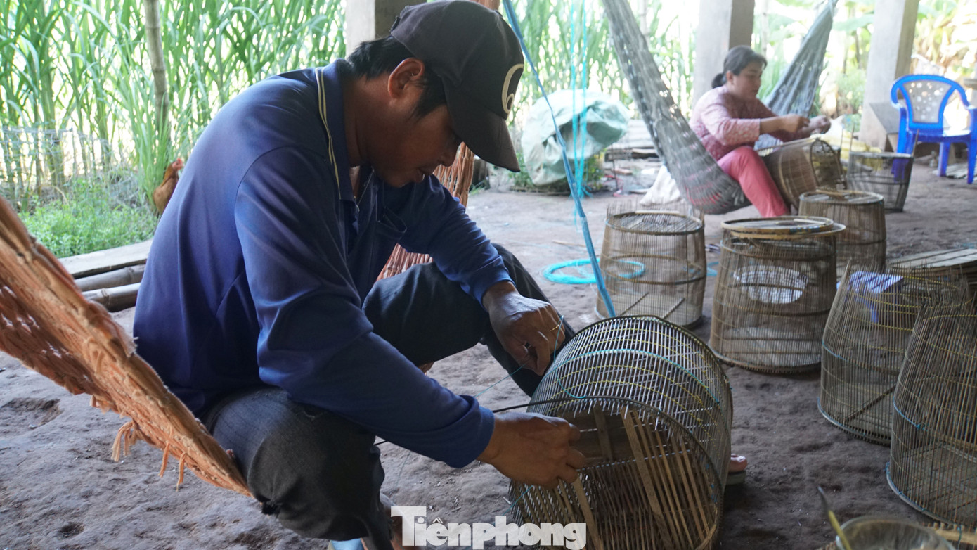 Ghi nhận của phóng viên Tiền Phong, tại làng nghề đan lọp cá linh ở xã Phước Hưng (An Phú, An Giang), người dân đang tất bật làm lọp đánh bắt cá mùa nước nổi. Ảnh: Hòa Hội.
