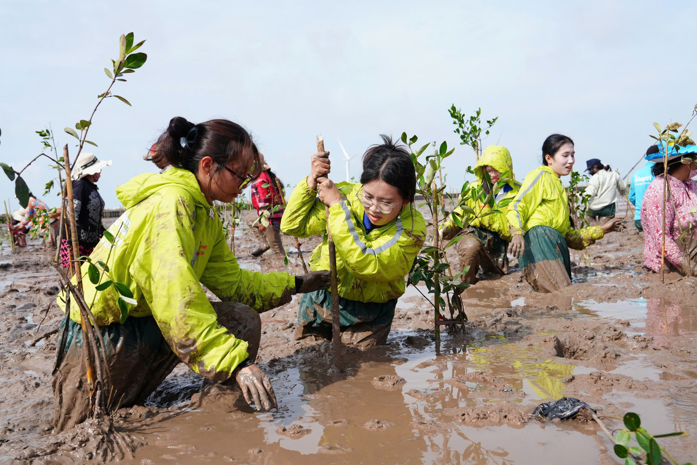 Sinh viên trường Đại học Cần Thơ tham gia trồng cây xanh tại Sóc Trăng.