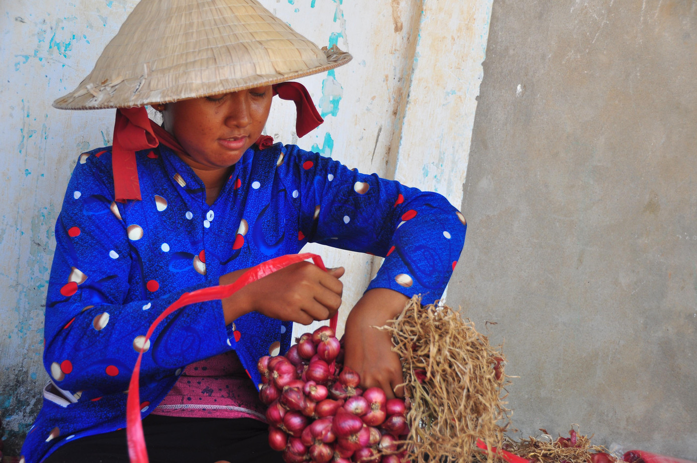 Ông Mã Chí Thọ - Trưởng phòng Kinh tế Thị xã Vĩnh Châu cho biết, toàn thị xã sản xuất hành tím thương phẩm 5.312 ha, sản lượng thu hoạch 101.388 tấn. Qua nắm tình hình, tính đến nay chỉ tiêu thụ được khoảng 50 ngàn tấn, hiện tại lượng hành tím còn tồn chưa bán được là khoảng gần 51 ngàn tấn (trong dân 45 ngàn tấn, trong doanh nghiệp 6 ngàn tấn).