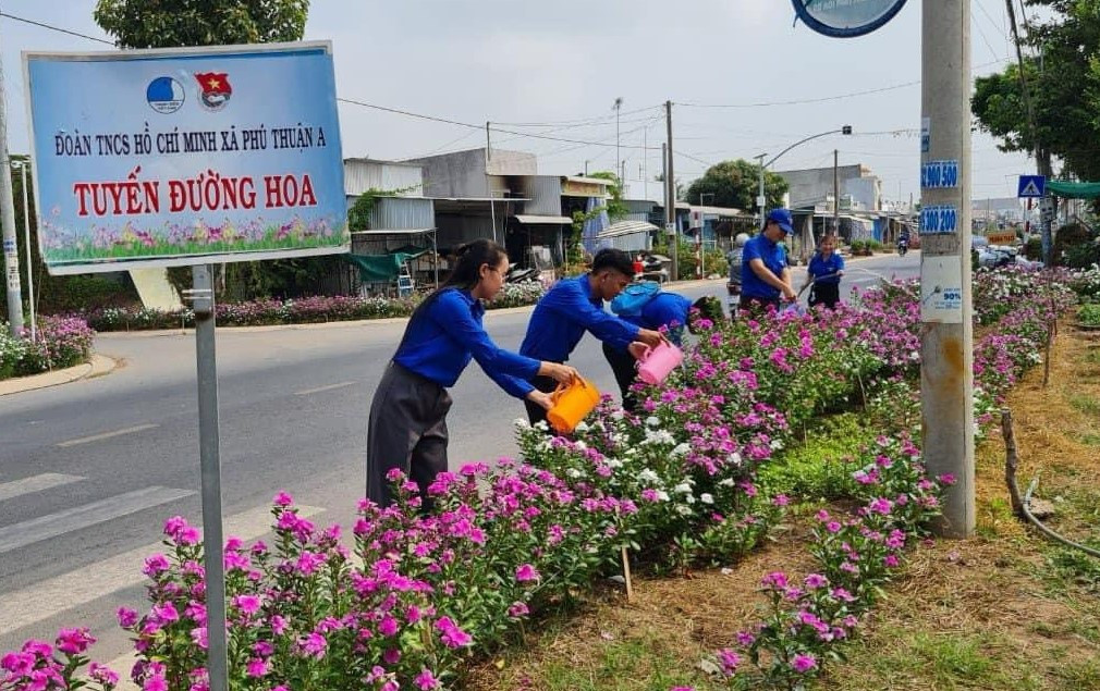 Hoạt động xây dựng nông thôn mới được các cấp bộ Đoàn diễn ra vô cùng sôi nổi, đặc biệt là gắn với thực hiện nhiệm vụ theo chương trình mục tiêu quốc gia xây dựng nông thôn mới, với nhiều công trình, phần việc thiết thực tại địa phương.