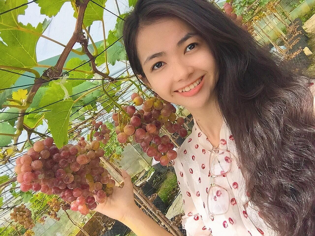 Bạn trẻ thích thú chụp ảnh với vườn nho trĩu quả