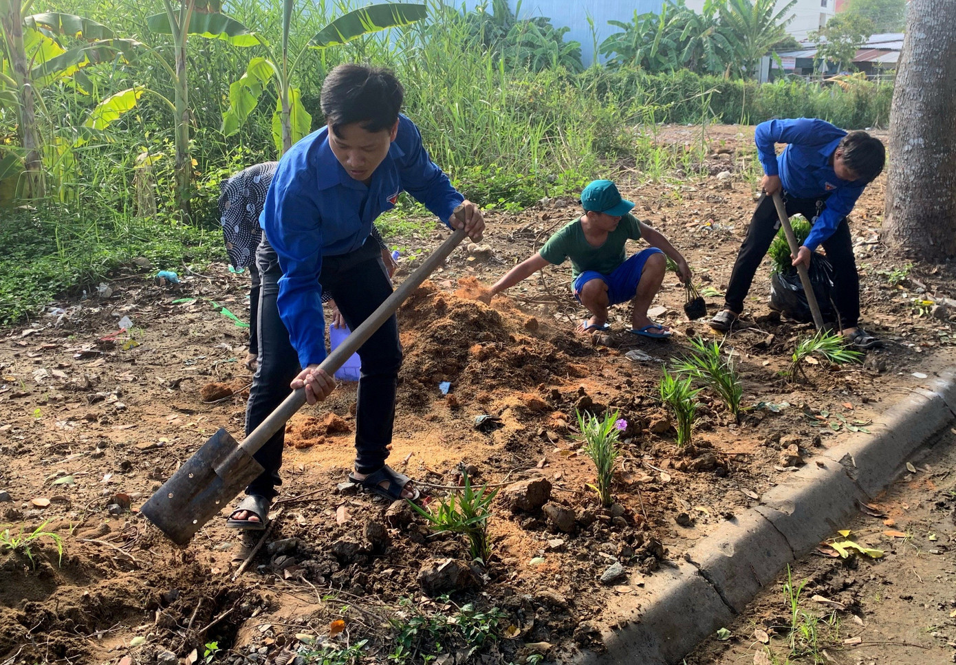 ĐVTN trồng hoa ven đường ĐVTN trồng hoa ven đường