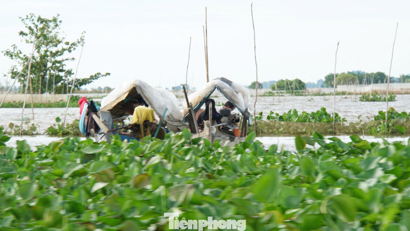 Ngư dân biên giới sinh sống nghề câu lưới. Ảnh: Hòa Hội