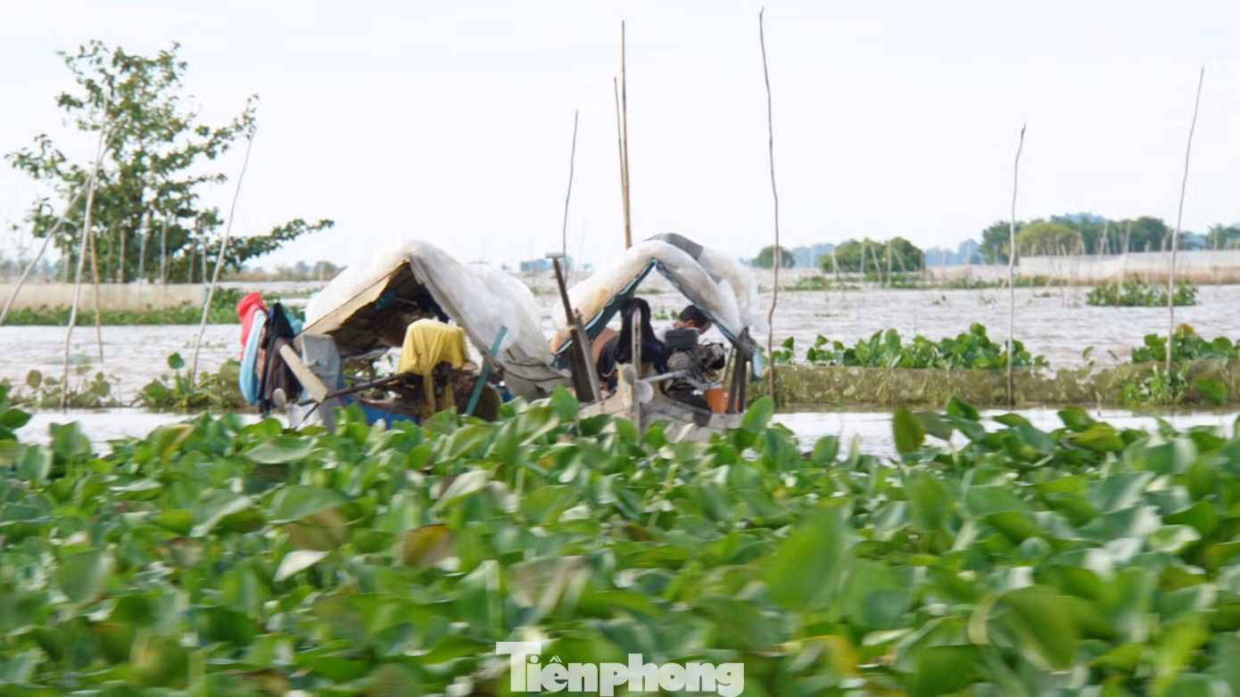Ngư dân biên giới sinh sống nghề câu lưới. Ảnh: Hòa Hội