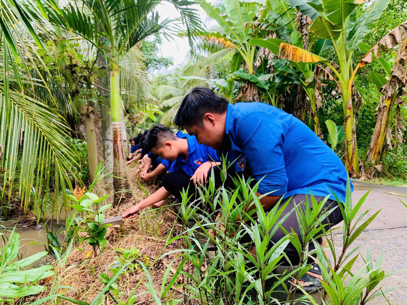 Đoàn viên thanh niên Bến Tre tham gia trồng và chăm sóc cây xanh. Đoàn viên thanh niên Bến Tre tham gia trồng và chăm sóc cây xanh.