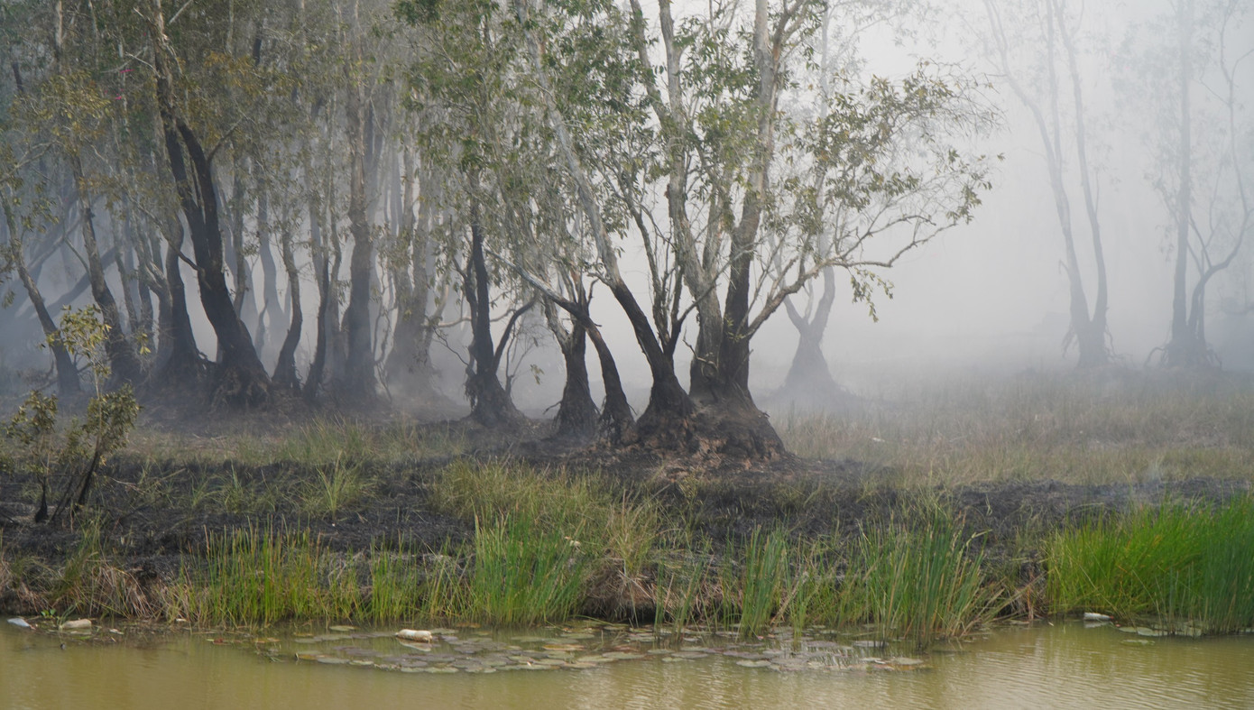 Hiện trường vụ cháy tại Vườn Quốc gia Tràm Chim. Hiện trường vụ cháy tại Vườn Quốc gia Tràm Chim.