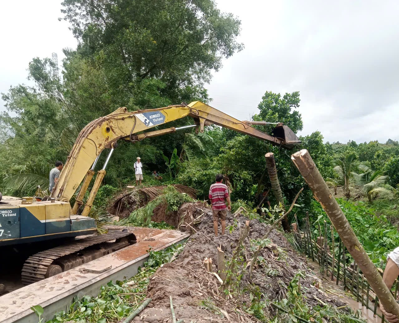 Gia cố đê bao sạt lở tại Bến Tre.