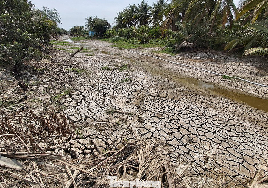 Con sông khô cạn tại Tiền Giang vào năm 2020. Ảnh: Hòa Hội Con sông khô cạn tại Tiền Giang vào năm 2020. Ảnh: Hòa Hội