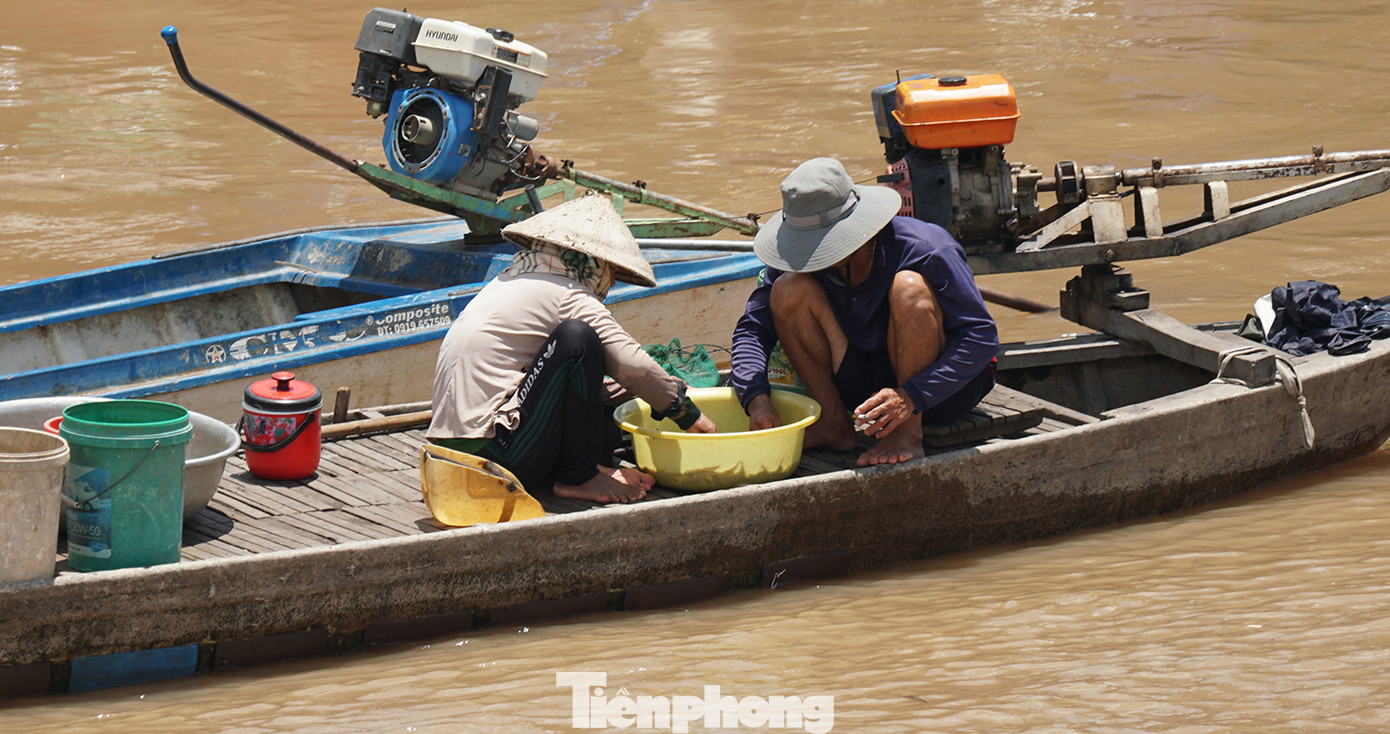 Người dân lựa cá để chuẩn bị đem lên bờ bán ở xã Nhơn Hội (An Phú). Ảnh: Hòa Hội.