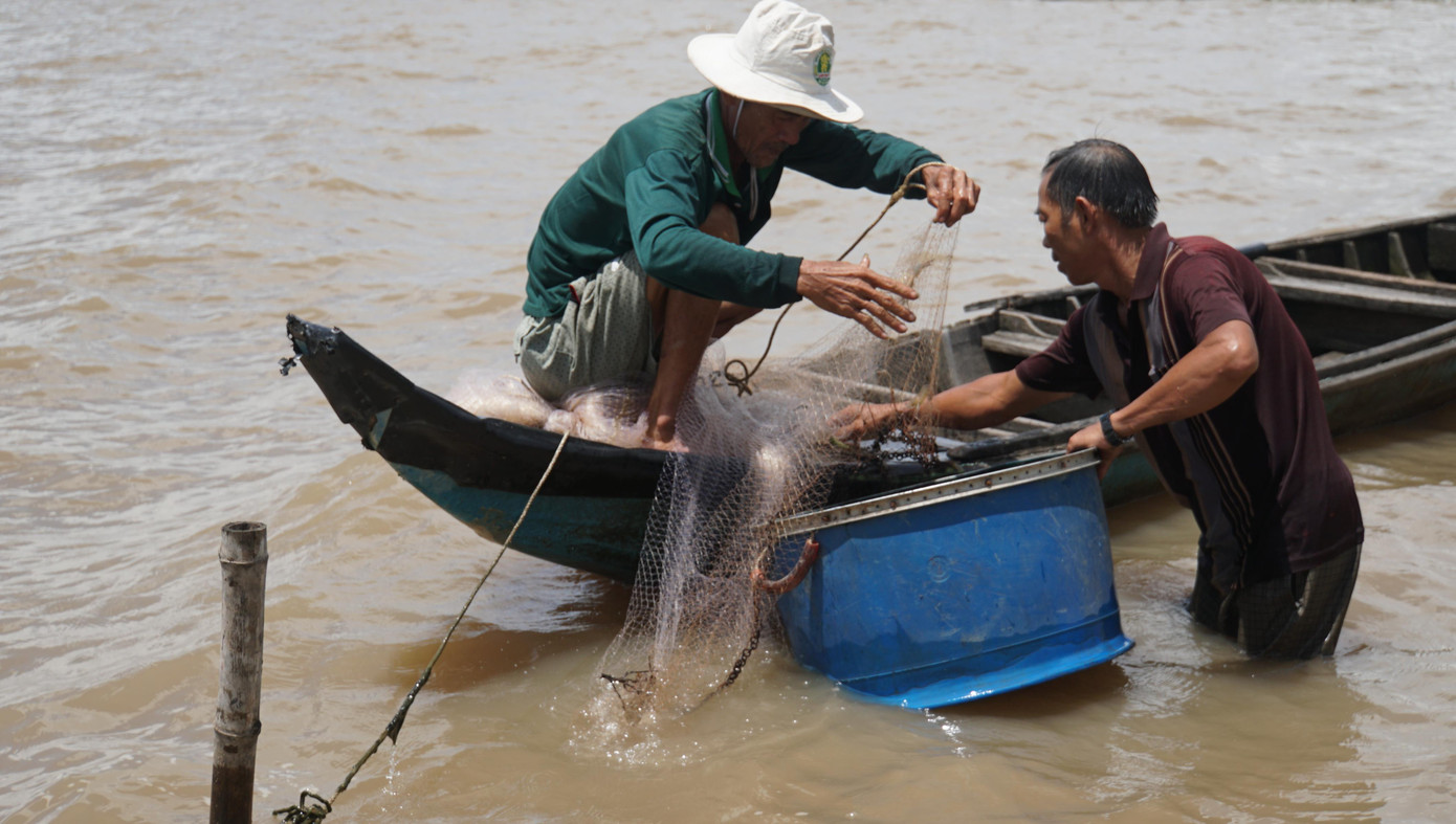 Người dân nâng cao sinh kế mùa lũ tại Đồng Tháp Người dân nâng cao sinh kế mùa lũ tại Đồng Tháp