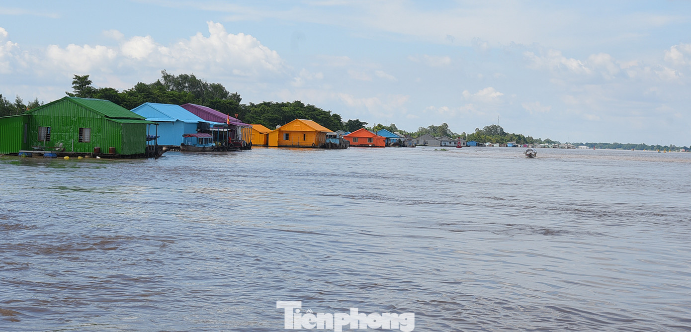 Giai đoạn 2, tỉnh đang xây dựng Đề án “Sắp xếp lồng bè nuôi thủy sản trên sông đến năm 2025, tầm nhìn 2030" để sắp xếp các lồng bè khu vực này. Ảnh: Hòa Hội.