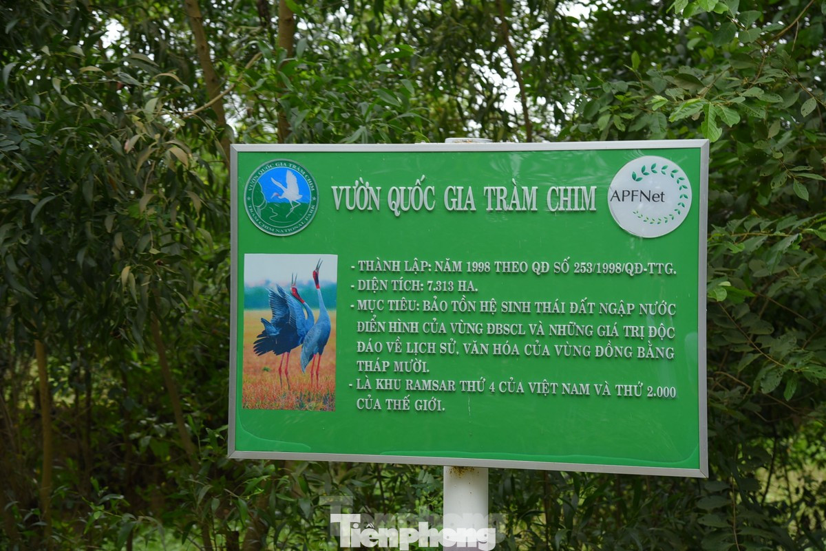 Vườn Quốc gia Tràm Chim (Tam Nông, Đồng Tháp). Ảnh: Hòa Hội Vườn Quốc gia Tràm Chim (Tam Nông, Đồng Tháp). Ảnh: Hòa Hội