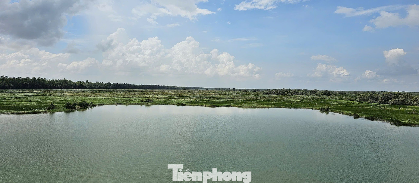 Quang cảnh Vườn Quốc gia Tràm Chim (Tam Nông, Đồng Tháp). Ảnh: Hòa Hội