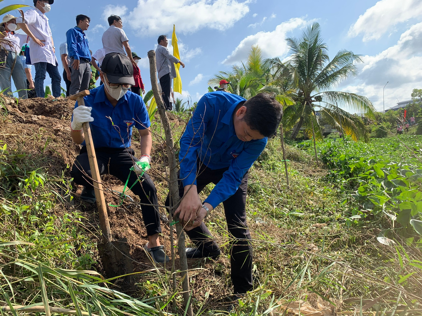 Trồng cây xanh tại thành phố Sa Đéc. Ảnh: PV.