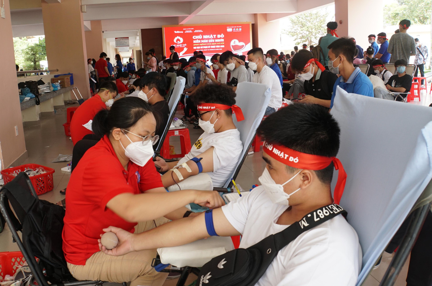 Đông đảo bạn trẻ tham gia hiến máu tình nguyện tại Chủ nhật Đỏ. - Ảnh: Hòa Hội Đông đảo bạn trẻ tham gia hiến máu tình nguyện tại Chủ nhật Đỏ. - Ảnh: Hòa Hội