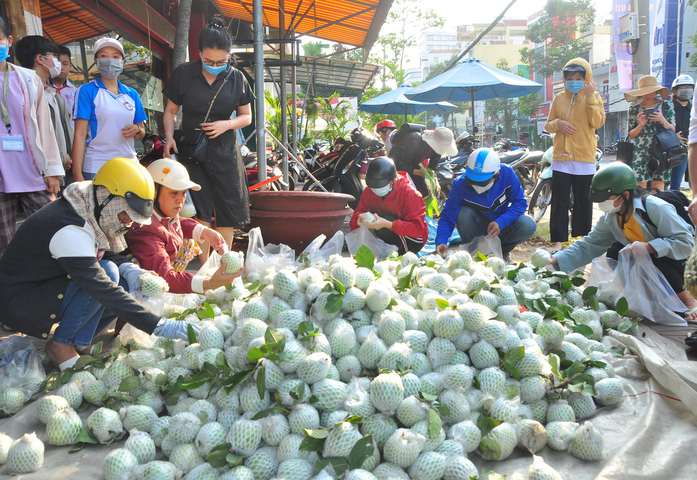 Bạn Nguyễn Phú An, sinh viên ngành Y khoa, trường đại học Y Dược Cần Thơ tham gia tình nguyện hỗ trợ giải cứu ổi. An chia sẻ: "Bản thân muốn đóng góp chút sức trẻ của mình để giúp nông dân giảm bớt thiệt hại, bởi vì họ phải chăm sóc vất vả thời gian dài mới thu hoạch, nhưng không bán được sẽ gặp khó khăn".