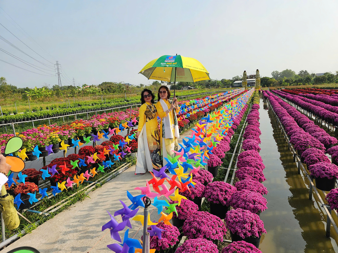 Buổi sáng thời tiết cuối năm ở Sa Đéc khá mát mẻ. Ảnh: Hòa Hội