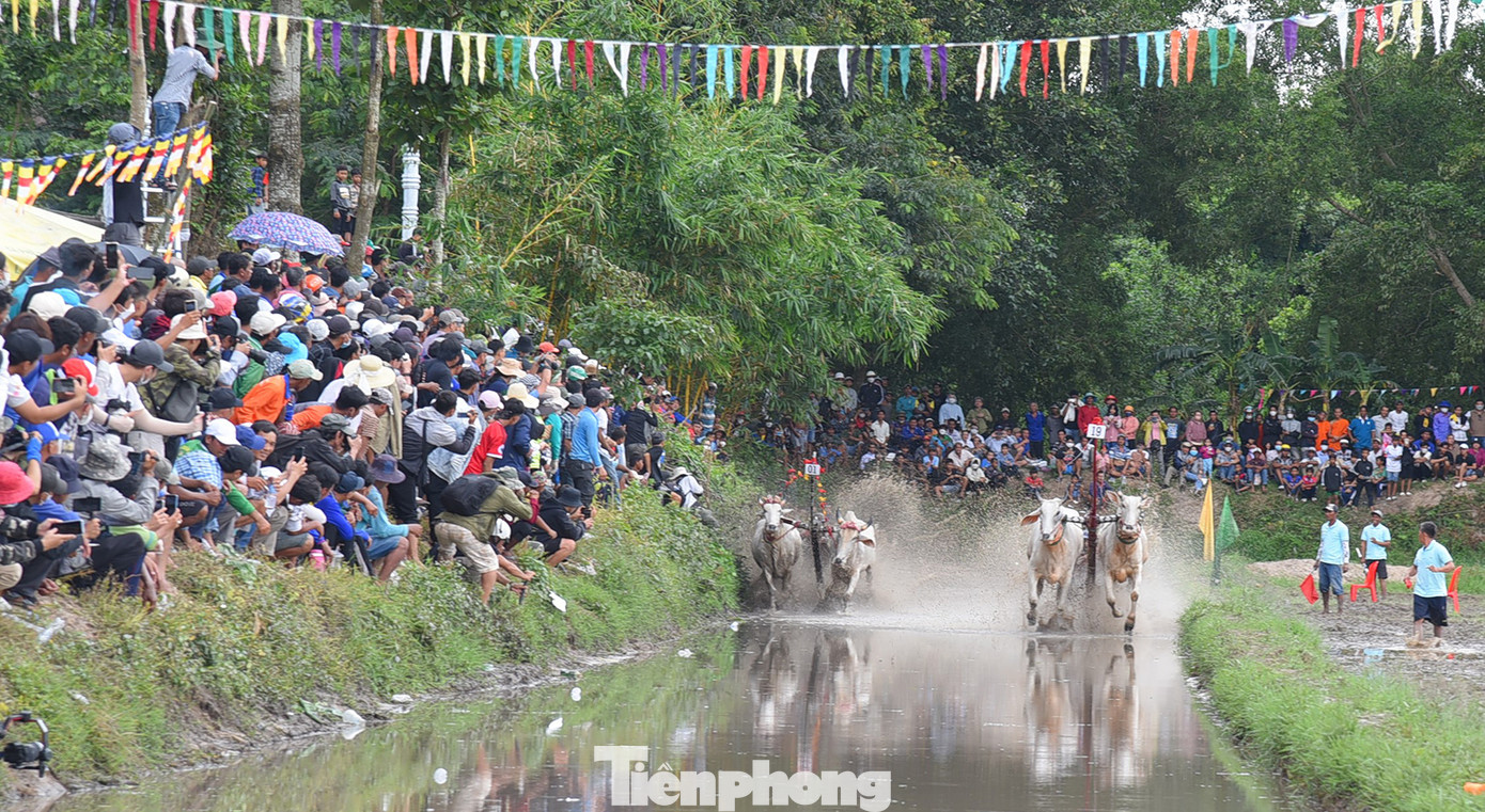 Đôi bò số 19 (bên phải) của anh Đỗ Hồng Phúc tăng tốc về đích. Ảnh: Hòa Hội. Đôi bò số 19 (bên phải) của anh Đỗ Hồng Phúc tăng tốc về đích. Ảnh: Hòa Hội.