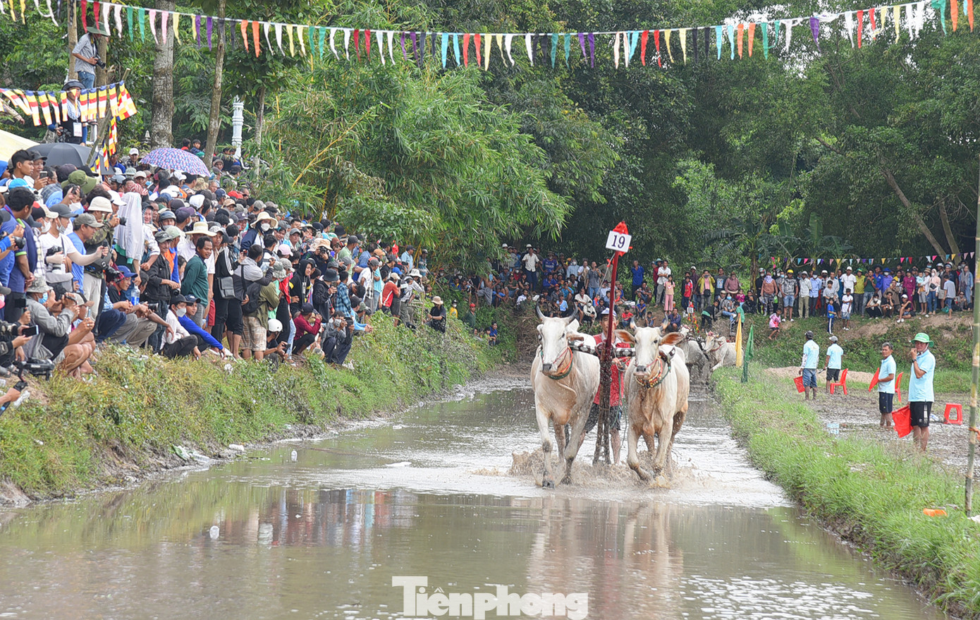 Đôi bò của anh Phúc thong dong về đích và đoạt giải nhất do đôi bò của đối thủ thi đấu không như ý . Ảnh: Hòa Hội. Đôi bò của anh Phúc thong dong về đích và đoạt giải nhất do đôi bò của đối thủ thi đấu không như ý . Ảnh: Hòa Hội.