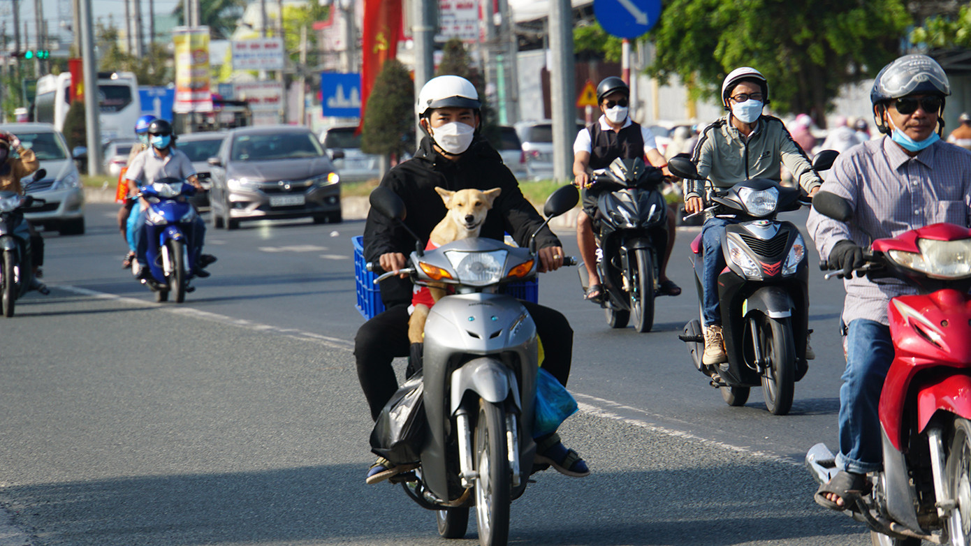 Chú chó cùng chủ trên đường trở lại TP.HCM làm việc. Ảnh: Hòa Hội