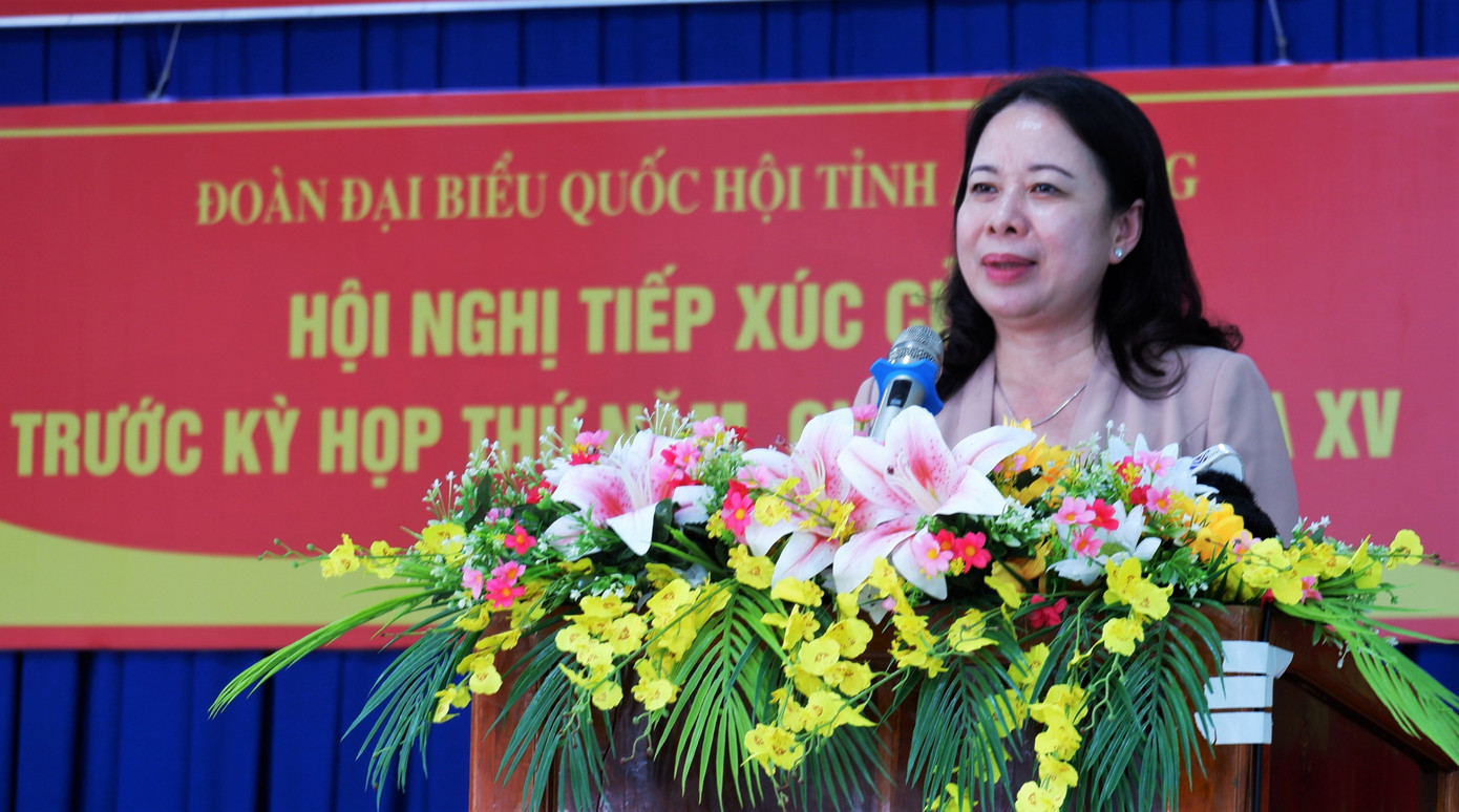 Phó Chủ tịch nước Võ Thị Ánh Xuân phát biểu tại hội nghị. (Ảnh: An Bình)