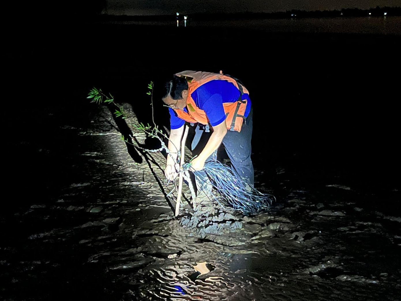 Anh Phan Thanh Trẻ, Phó Bí thư Tỉnh Đoàn – Chủ tịch Hội LHTN Việt Nam tỉnh Bến Tre tham gia trồng cây xanh tại cồn Đất, huyện Ba Tri vào tờ mờ sáng.
