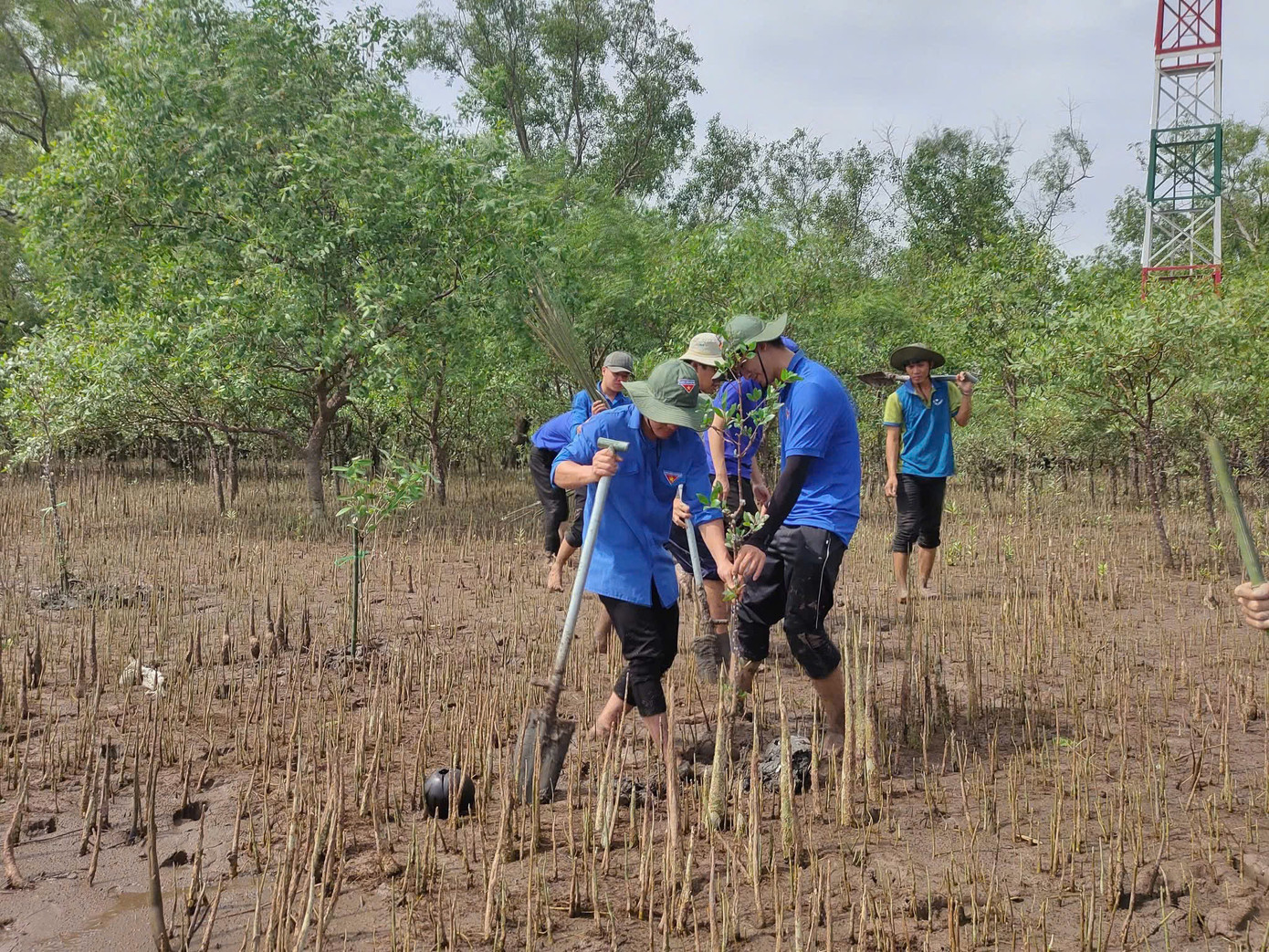 Đoàn viên thanh niên tỉnh Bến Tre trồng cây xanh