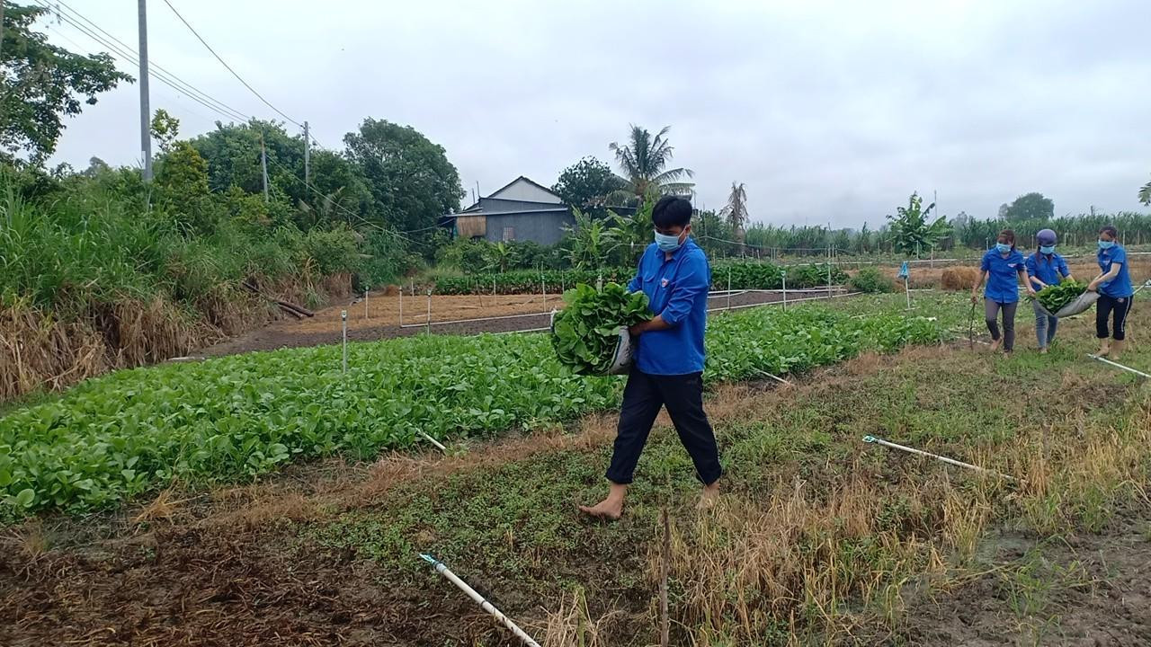 Anh Huỳnh Duy Thanh, Bí thư Thành đoàn Châu Đốc cho biết, đã duy trì 7 gian hàng 'Chợ 0 đồng' tại 7 đơn vị xã, phường từ ngày 3/7 đến nay; tuy nhiên, hiện nay tình hình dịch phức tạp, các bạn đoàn thanh niên sẽ mang trực tiếp đến tận nhà dân để hỗ trợ. Trung bình mỗi ngày trao tặng từ 300 - 500 kg rau, củ quả các loại và nhu yếu phẩm.