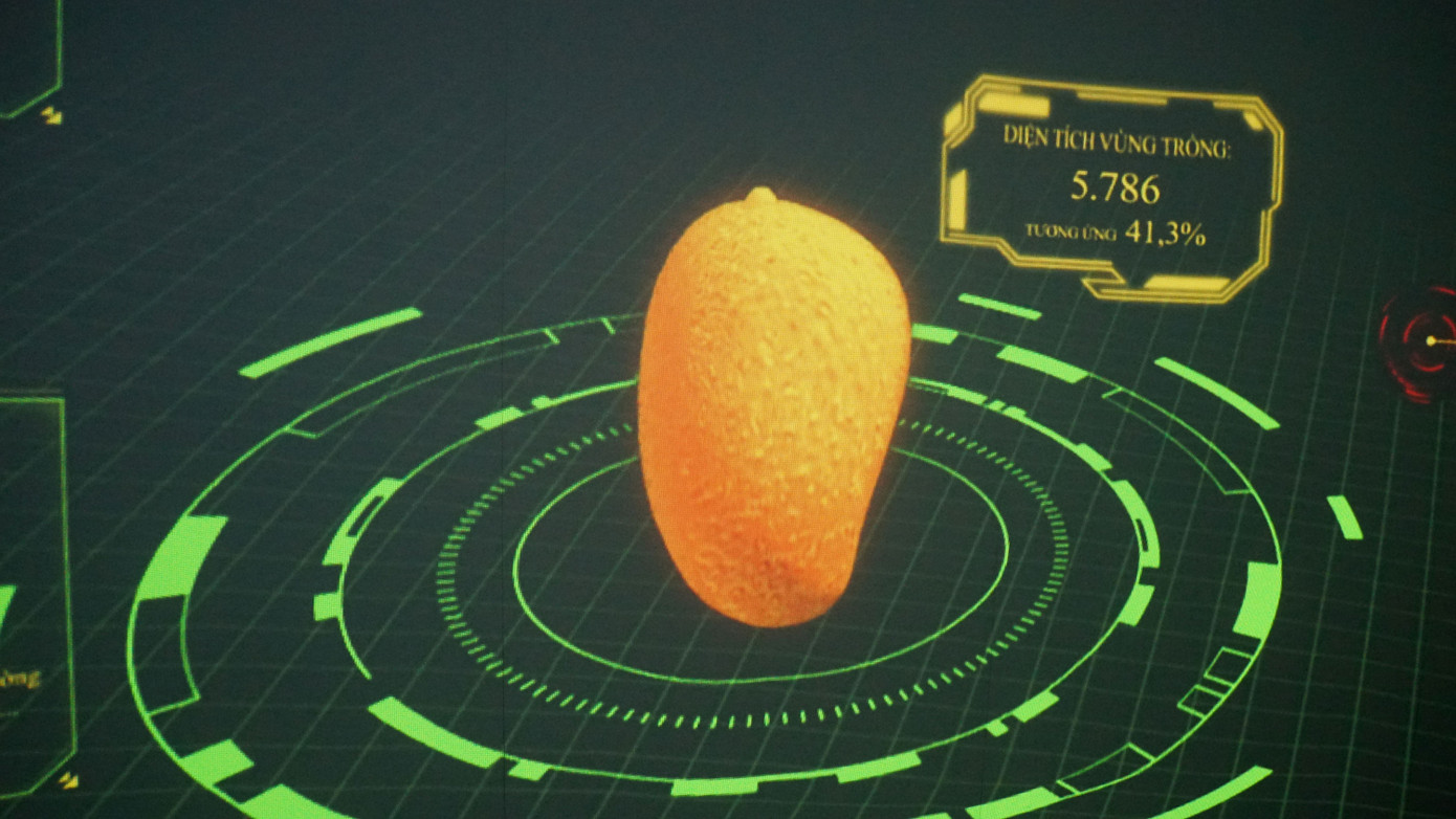 Đến với tường tương tác thông tin về ngành hàng xoài, du khách sẽ được cung cấp thông tin như: Đặc tính, sản lượng các giống xoài, chính sách về phát triển xoài, kết quả trong sản xuất và tiêu thụ xoài. Ảnh: An Bình