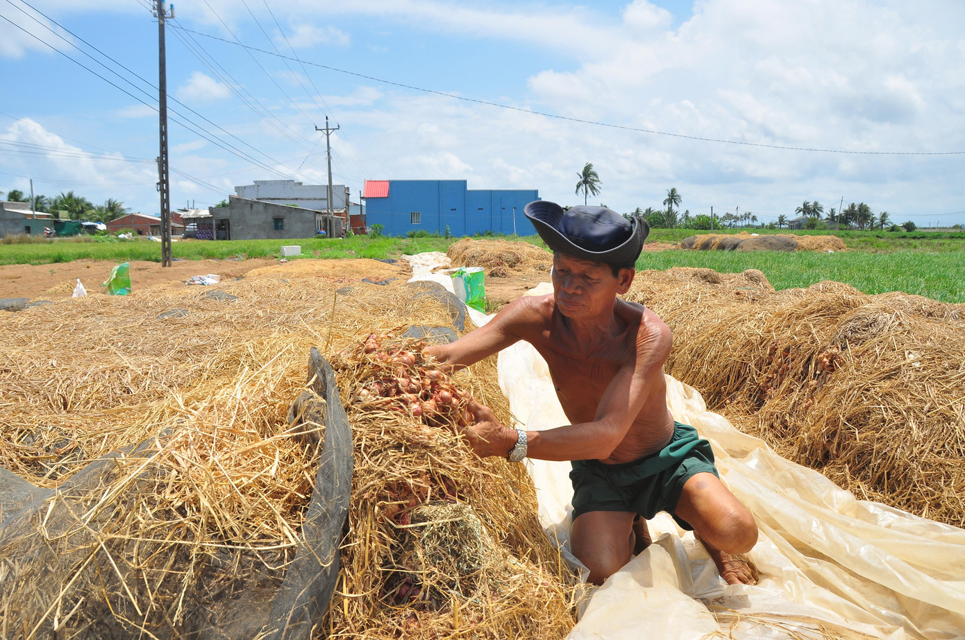 Ông Sơn Lươne xót xa với đống hành tím không bán được