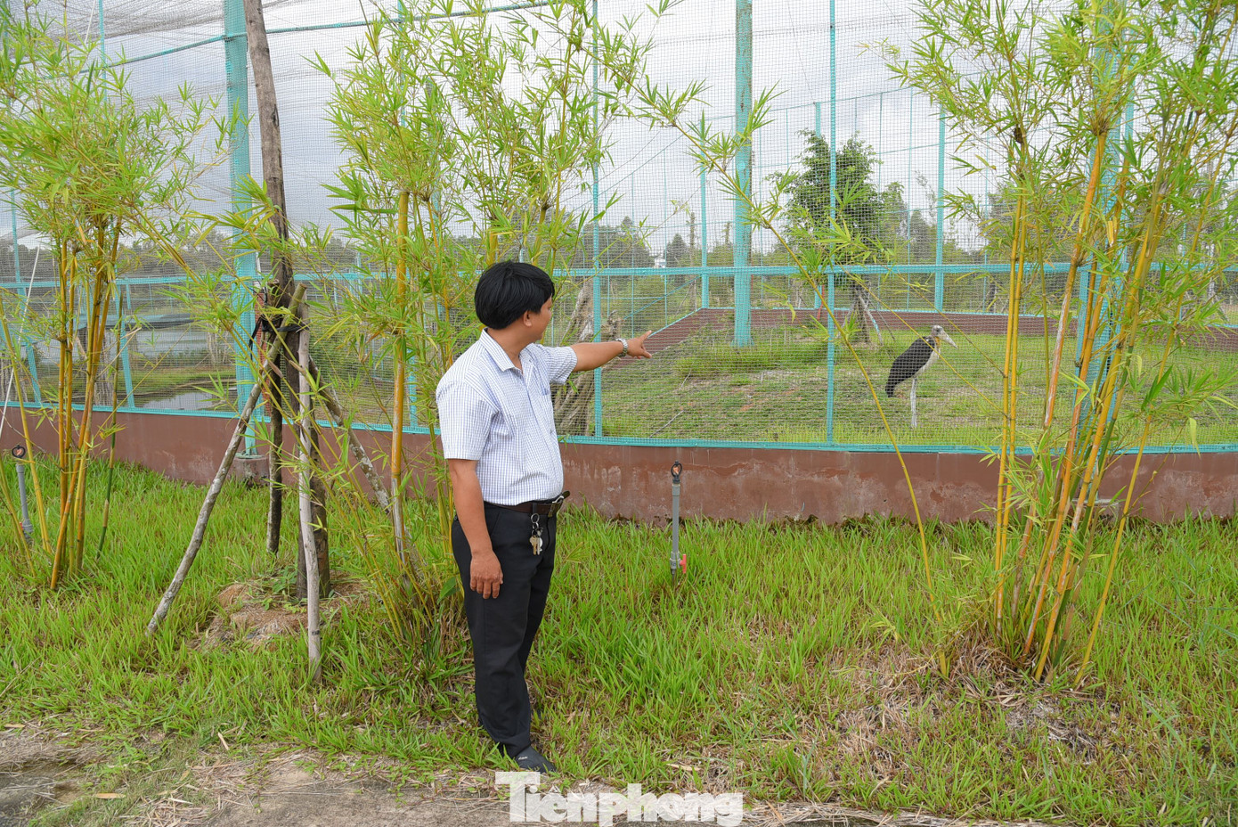 Hiện tại, Vườn Quốc gia Tràm Chim đã chuẩn bị chuồng dùng để nuôi nhốt các loài chim, đặc biệt là sếu đầu đỏ tại Trại bảo tồn sinh vật.