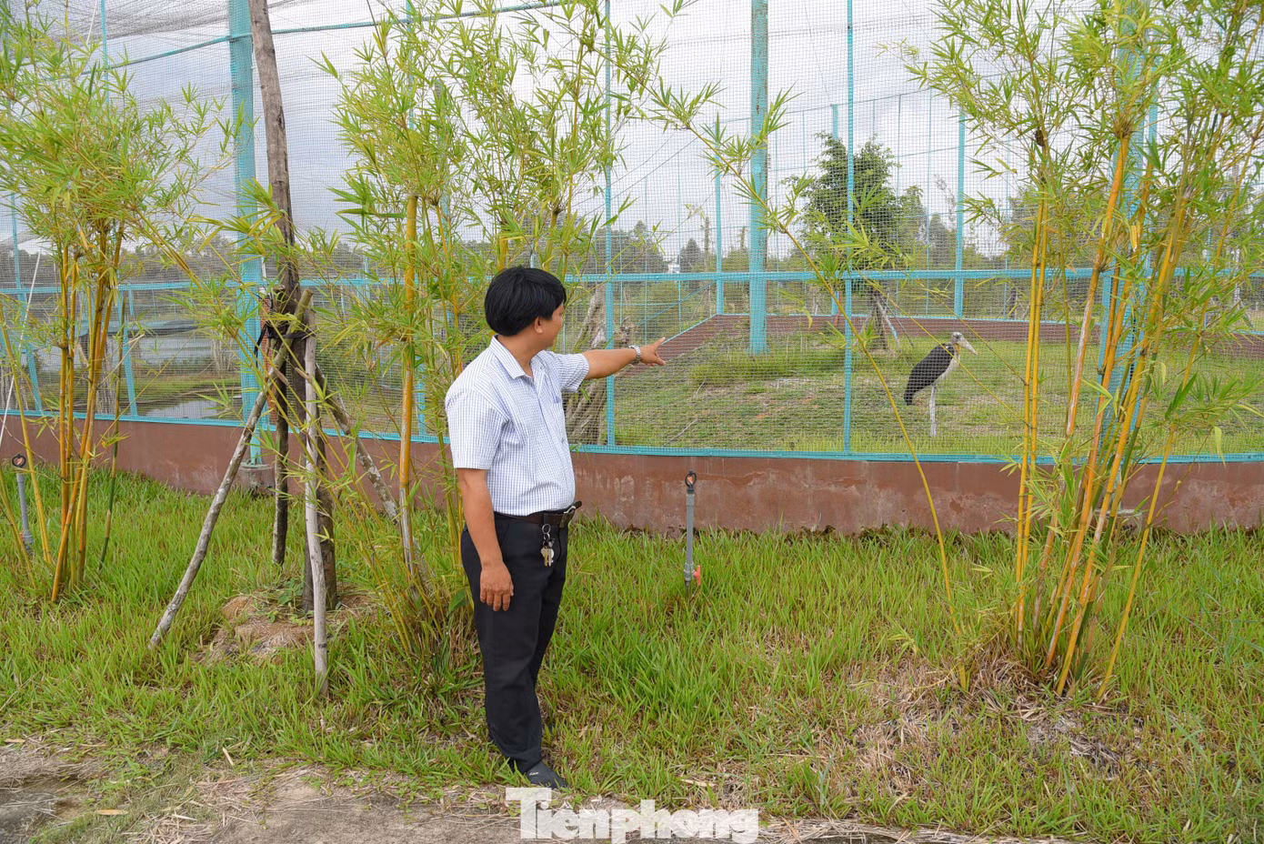 Hiện tại, Vườn Quốc gia Tràm Chim đã chuẩn bị chuồng dùng để nuôi nhốt các loài chim, đặc biệt là sếu đầu đỏ tại Trại bảo tồn sinh vật.