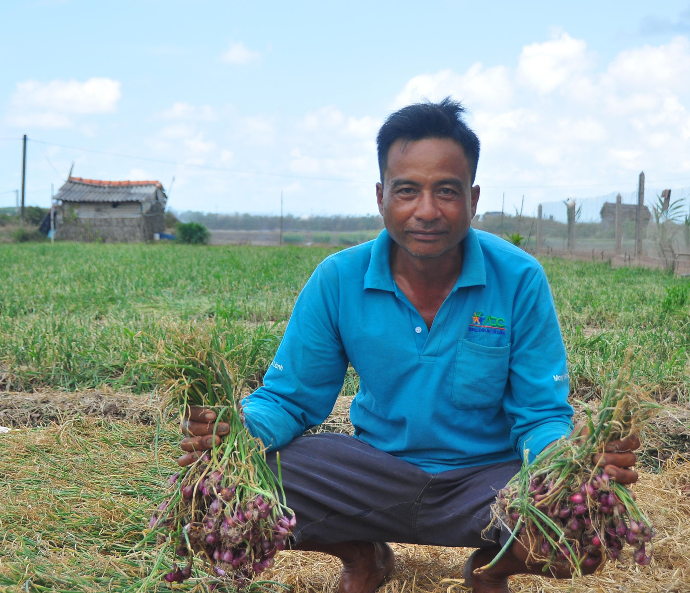 Ông Lý Sà Lượng thu hoạch 0,3 ha hơn 2 tháng nay cũng không có người mua