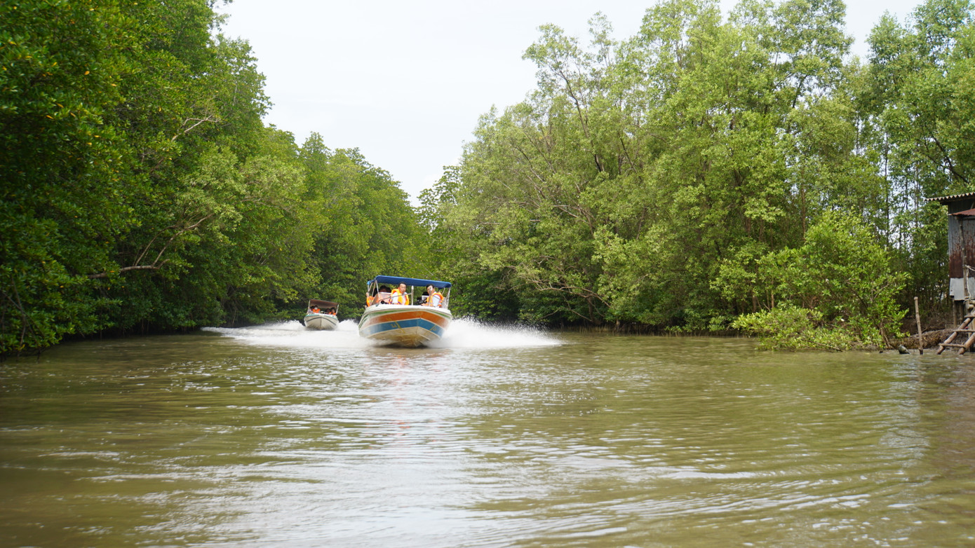 Quang cảnh rừng phòng hộ mũi Cà Mau.