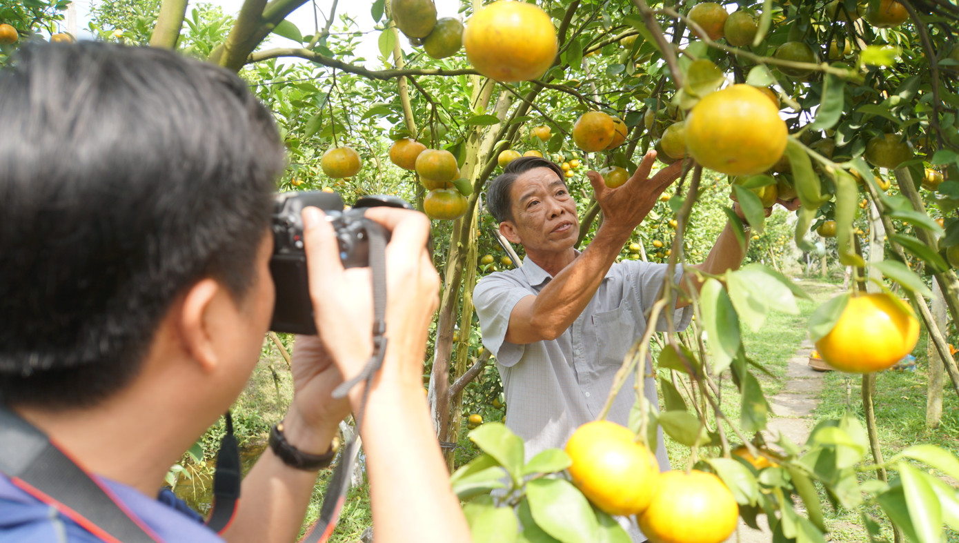 Lễ hội Quýt hồng Lai Vung lần thứ nhất năm 2023 với chủ đề “Khát vọng vươn lên” do Báo Nông nghiệp Việt Nam phối hợp UBND huyện Lai Vung tổ chức, diễn ra từ ngày 5 đến 8/1/2023 tại huyện Lai Vung, tỉnh Đồng Tháp. Ảnh: Hòa Hội