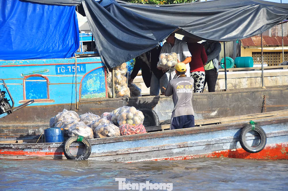 Tất cả tạo nên văn hóa chợ nổi: văn hoá giao thương, văn hóa quảng bá với cây bẹo (cây treo các loại trái cây bán trên ghe), văn hóa tự quản của cộng đồng thương hồ, văn hóa ứng xử - giao tiếp, nghệ thuật dân gian, dân tộc, đặc biệt làn điệu hò Cần Thơ - lối hò đối đáp giữa các đôi nam nữ bằng ca dao trữ tình, giao duyên trên sông nước. Ảnh: Hòa Hội.