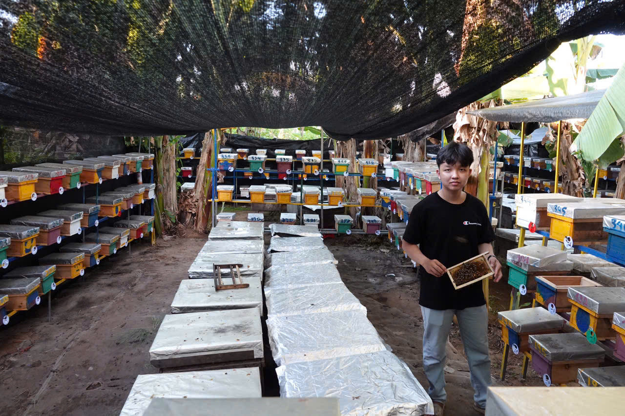 Đỗ Công Tạo bên trang trại ong của mình.
