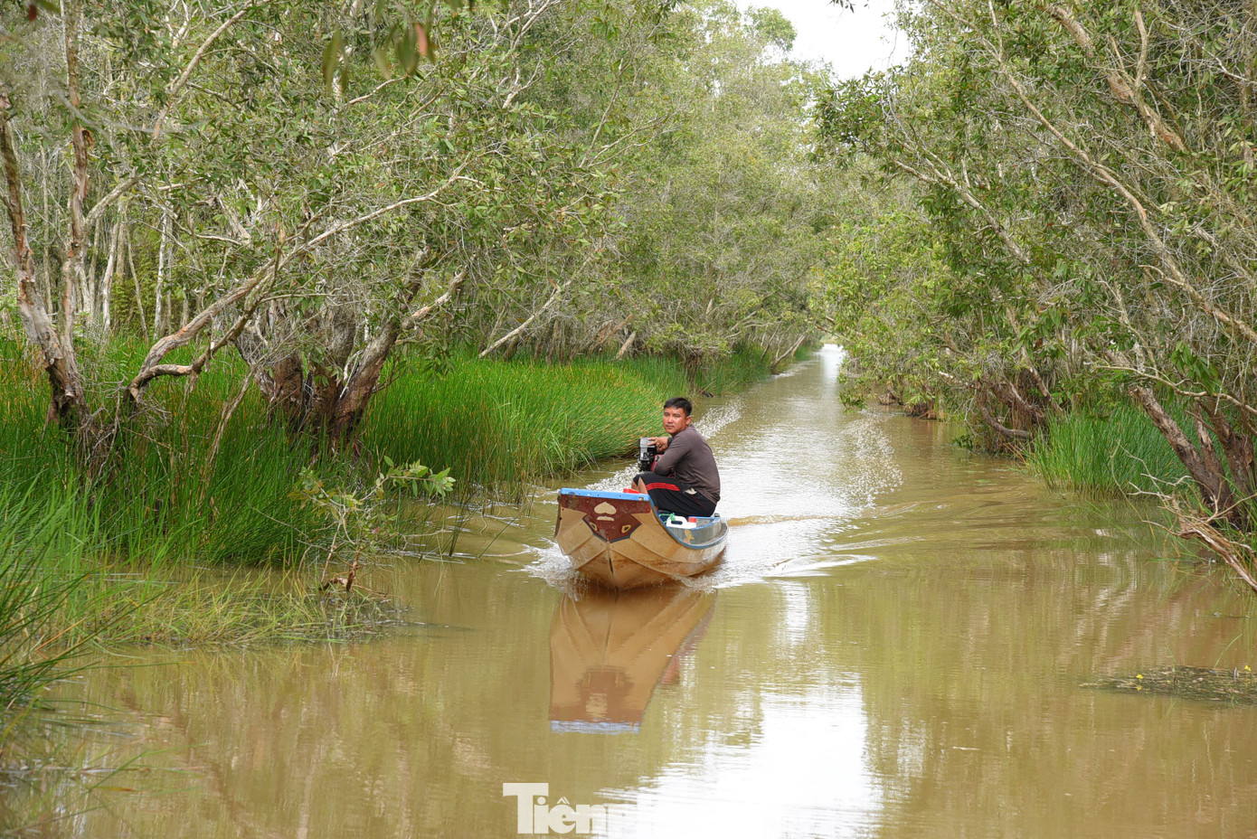 Vườn nằm trong vùng trũng ngập sâu của Đồng Tháp Mười, có khoảng 130 loài thực vật với 6 kiểu quần xã đặc trưng gồm sen, lúa ma, cỏ năn, cỏ ống, mồm mốc và rừng tràm; hơn 230 loài chim, trong đó có 32 loài quý hiếm. Ảnh: Hòa Hội