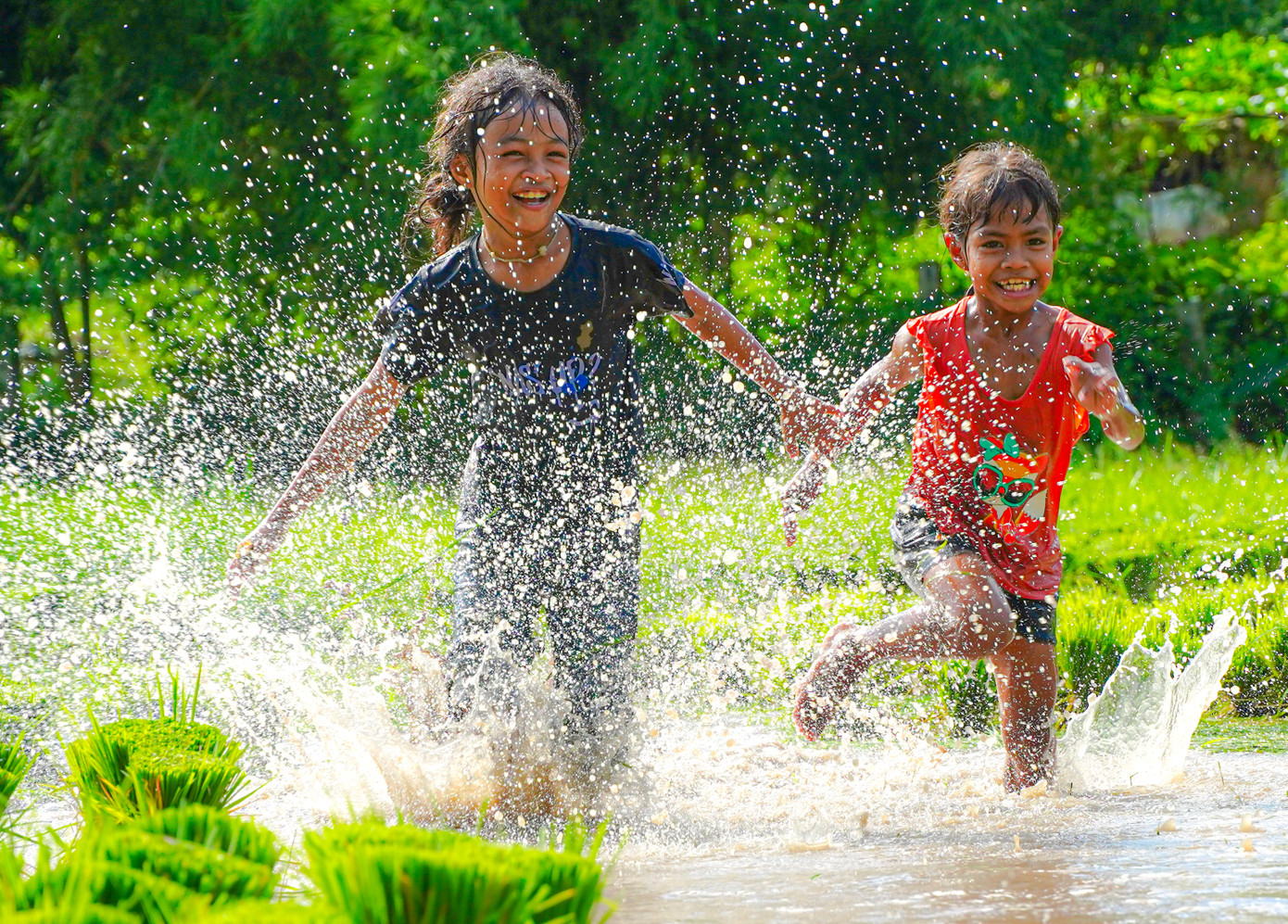 Trẻ em háo hức tham gia hội cấy mạ. Ảnh: PV. Trẻ em háo hức tham gia hội cấy mạ. Ảnh: PV.