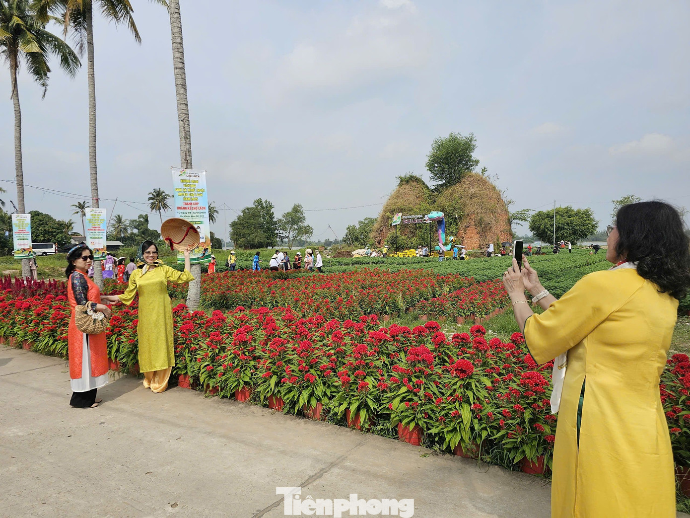 Lễ hội hoa – kiểng huyện Chợ Lách không chỉ sự kiện giao thương, mua bán sản phẩm hoa kiểng, cây giống, trái cây thuần tuý, còn để liên kết chặt chẽ chuỗi giá trị ngành hàng chủ lực của huyện, phát triển du lịch sinh thái, du lịch nông nghiệp. Ảnh: Hòa Hội