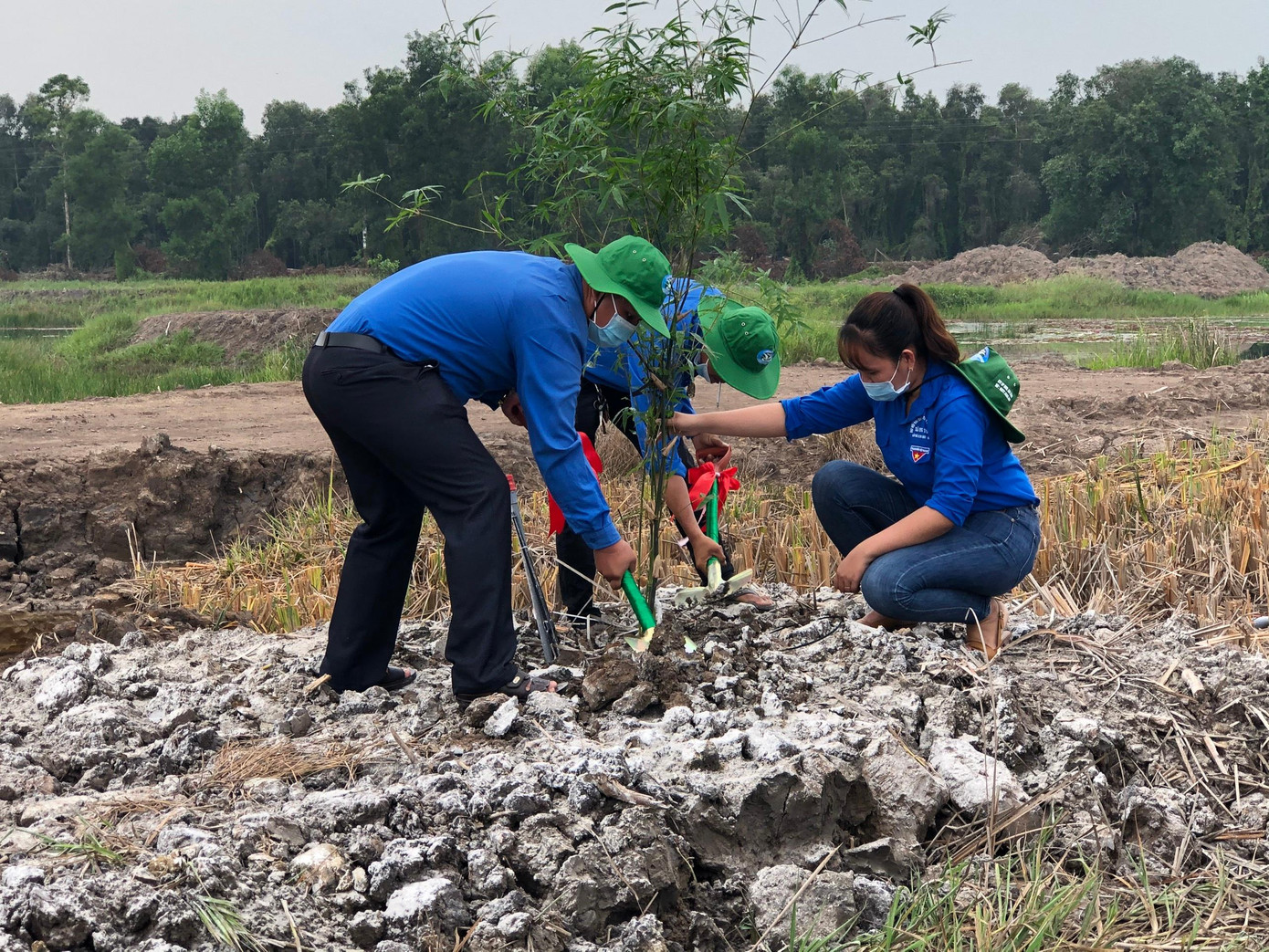 ĐVTN trồng cây xanh ĐVTN trồng cây xanh