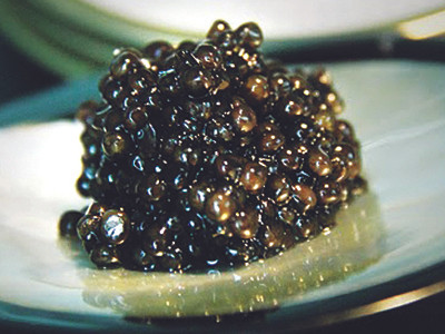 Trứng cá tầm, qua siêu âm như một chùm nho 