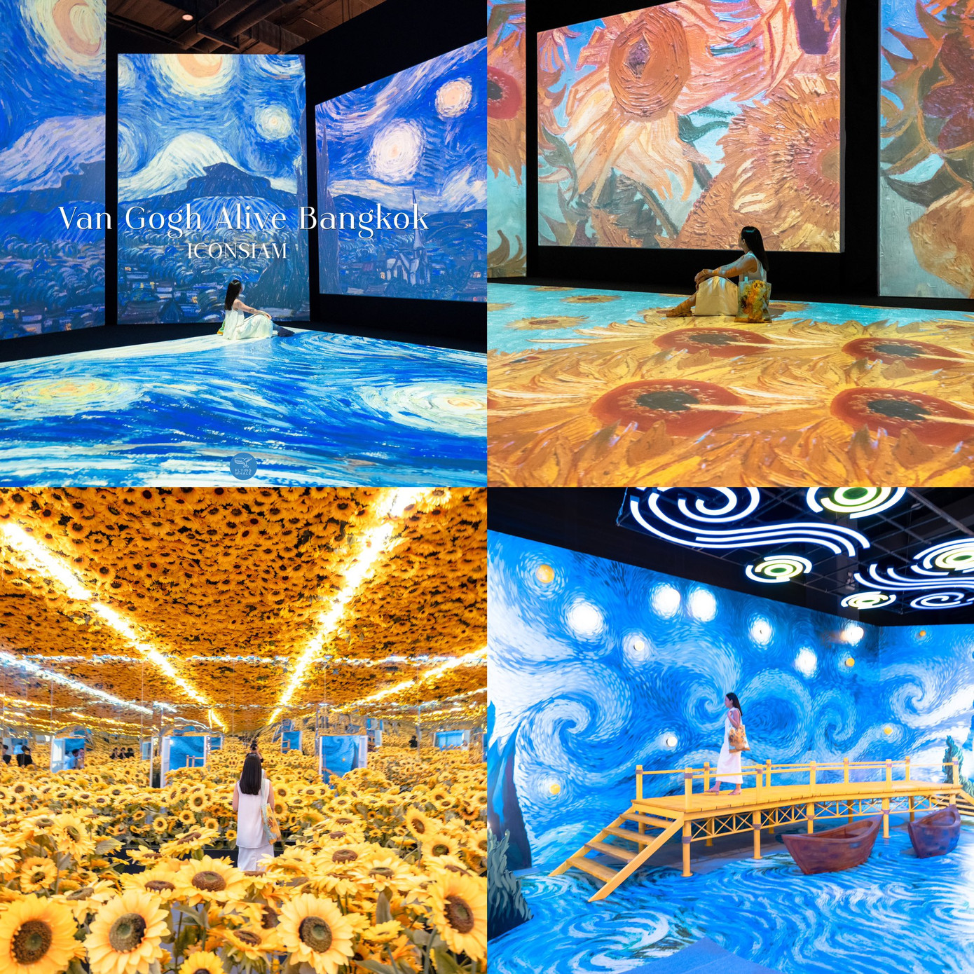 Ảnh: Flyingwhalemag