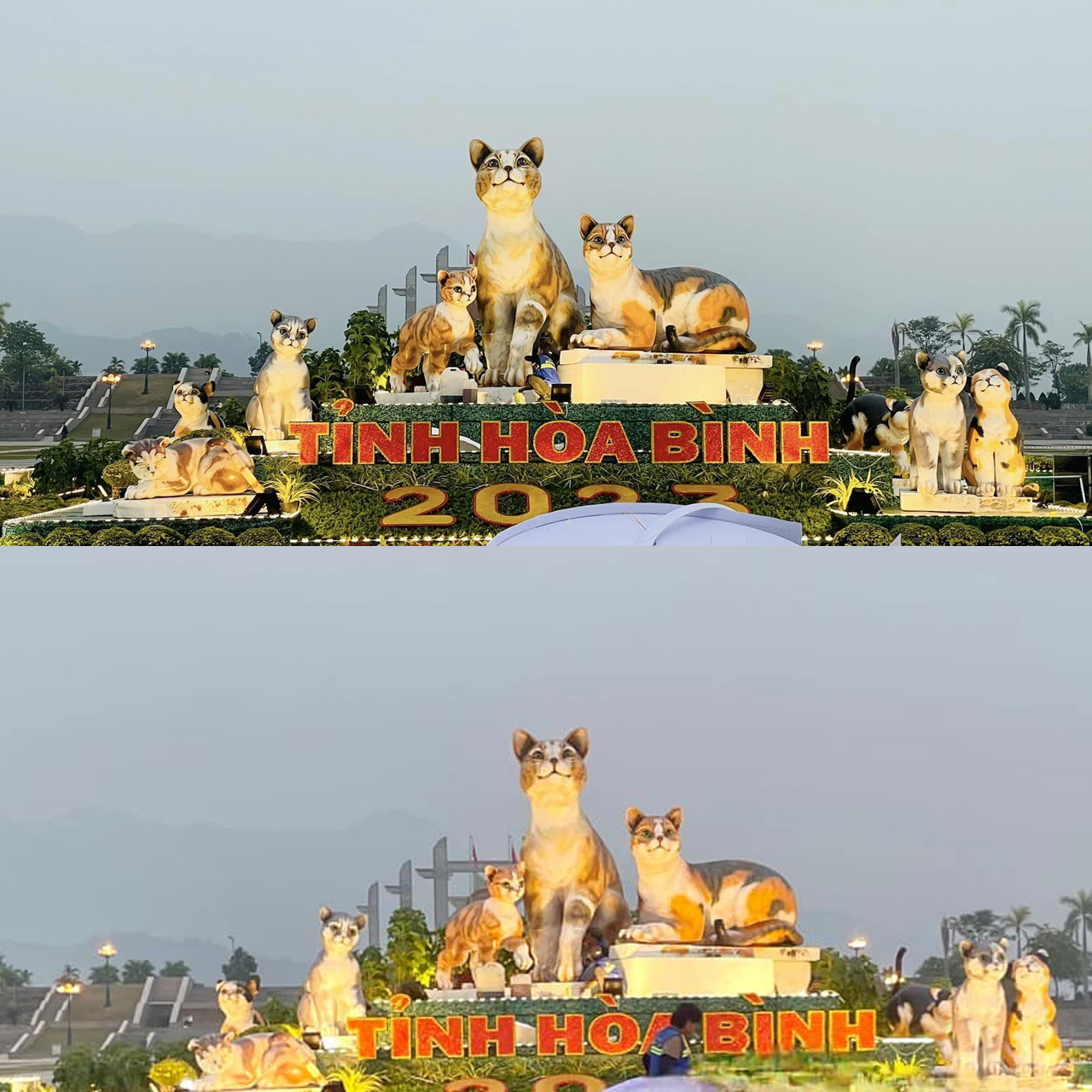 Đàn mèo đẹp xuất sắc ở Hòa Bình được dân mạng khen nức nở. Đàn mèo đẹp xuất sắc ở Hòa Bình được dân mạng khen nức nở.