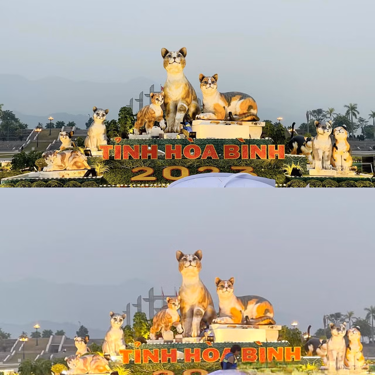 Đàn mèo đẹp xuất sắc ở Hòa Bình được dân mạng khen nức nở. Đàn mèo đẹp xuất sắc ở Hòa Bình được dân mạng khen nức nở.