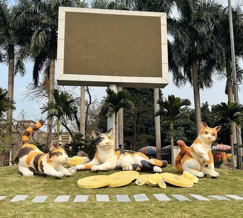 Mèo ở Thái Nguyên không chỉ xinh xắn mà biểu cảm cũng dễ thương... chuẩn mèo! Mèo ở Thái Nguyên không chỉ xinh xắn mà biểu cảm cũng dễ thương... chuẩn mèo!