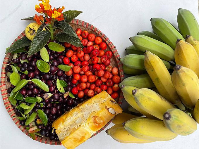 Cherry, mít và sơ ri trong vườn nhà Việt Hoàn