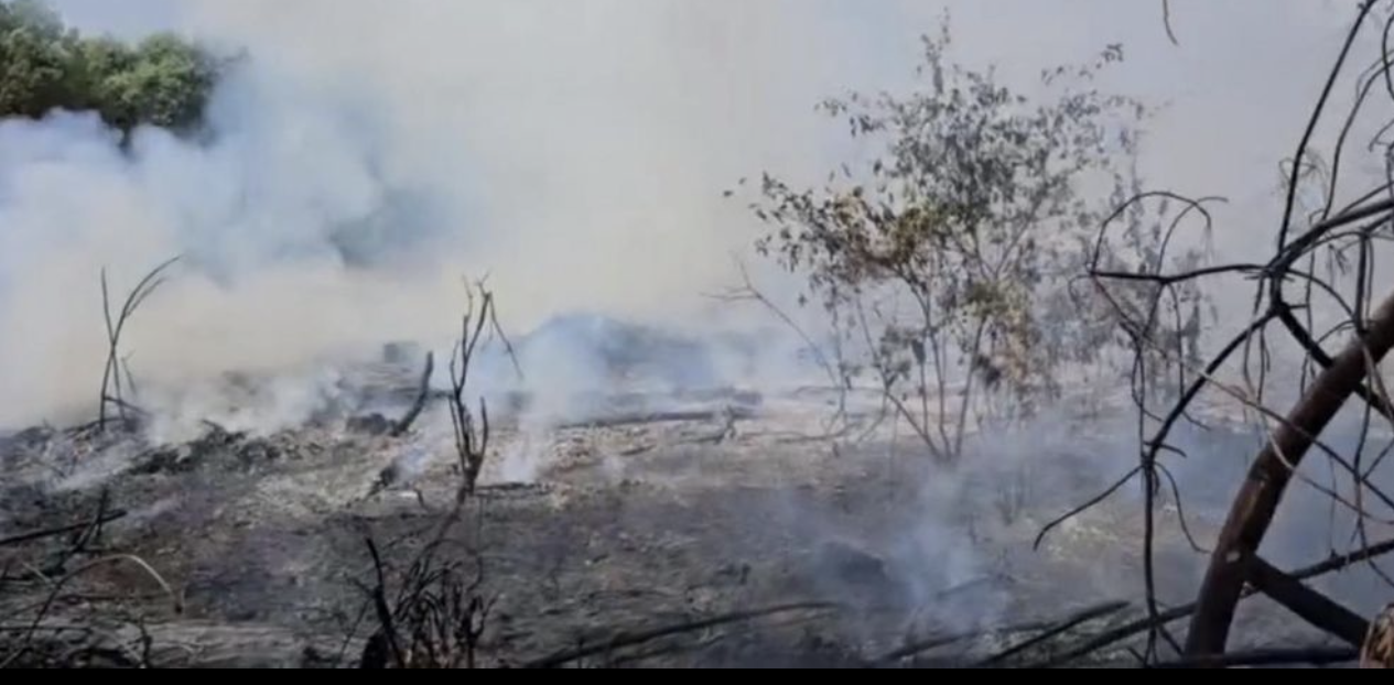 Công an điều tra nguyên nhân, thủ phạm gây ra 3 vụ cháy rừng liên tiếp ở địa bàn xã Vĩnh Chấp, huyện Vĩnh Linh, tỉnh Quảng Trị. Công an điều tra nguyên nhân, thủ phạm gây ra 3 vụ cháy rừng liên tiếp ở địa bàn xã Vĩnh Chấp, huyện Vĩnh Linh, tỉnh Quảng Trị.